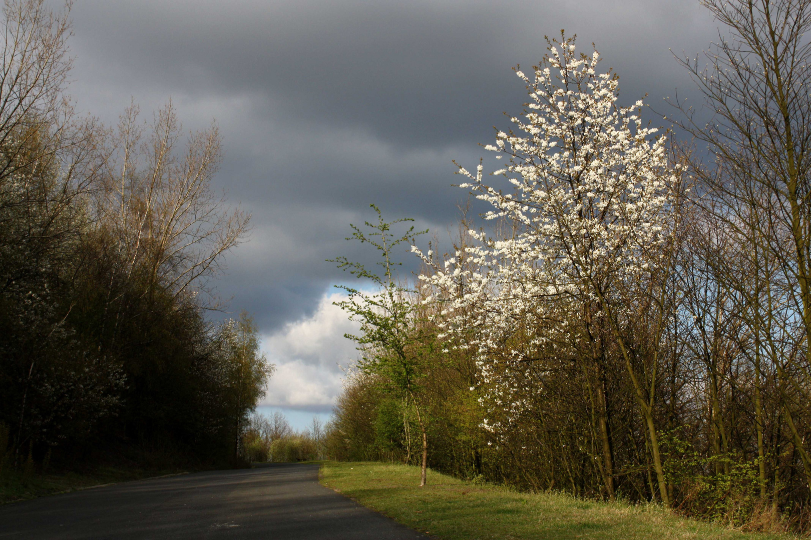 ein Abend im April...