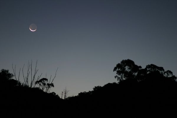 Ein Abend im Busch Australiens