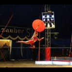 Ein Abend im Circus (1)