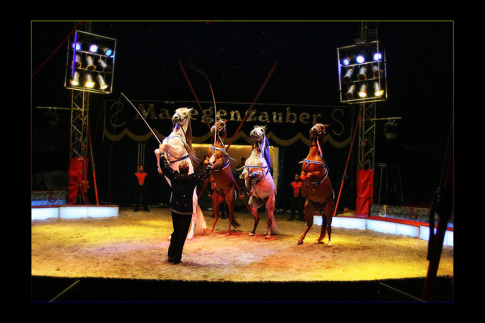 Ein Abend im Circus (3)