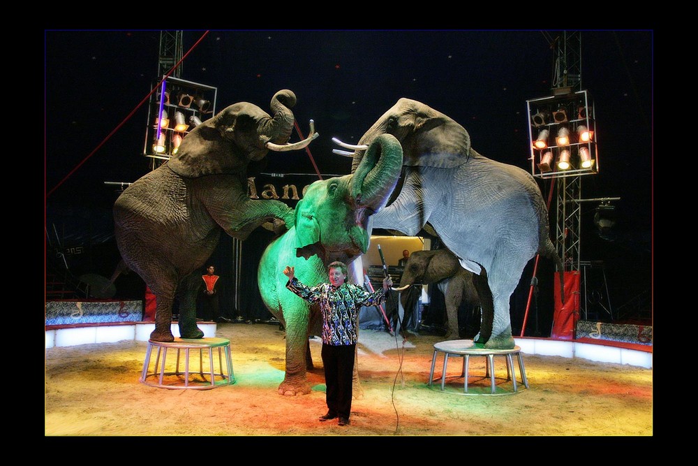 Ein Abend im Circus (4)