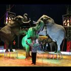 Ein Abend im Circus (4)