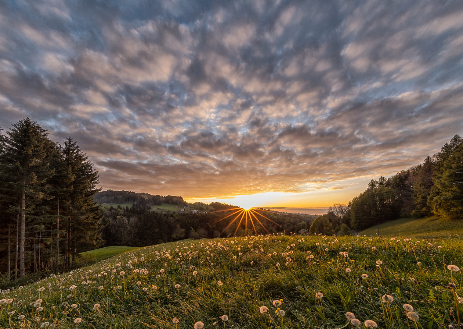 ein Abend im Frühling