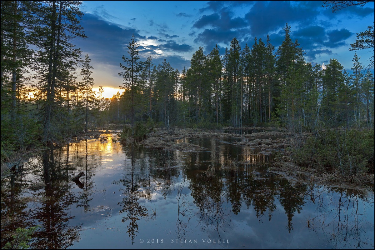 Ein Abend im Moor