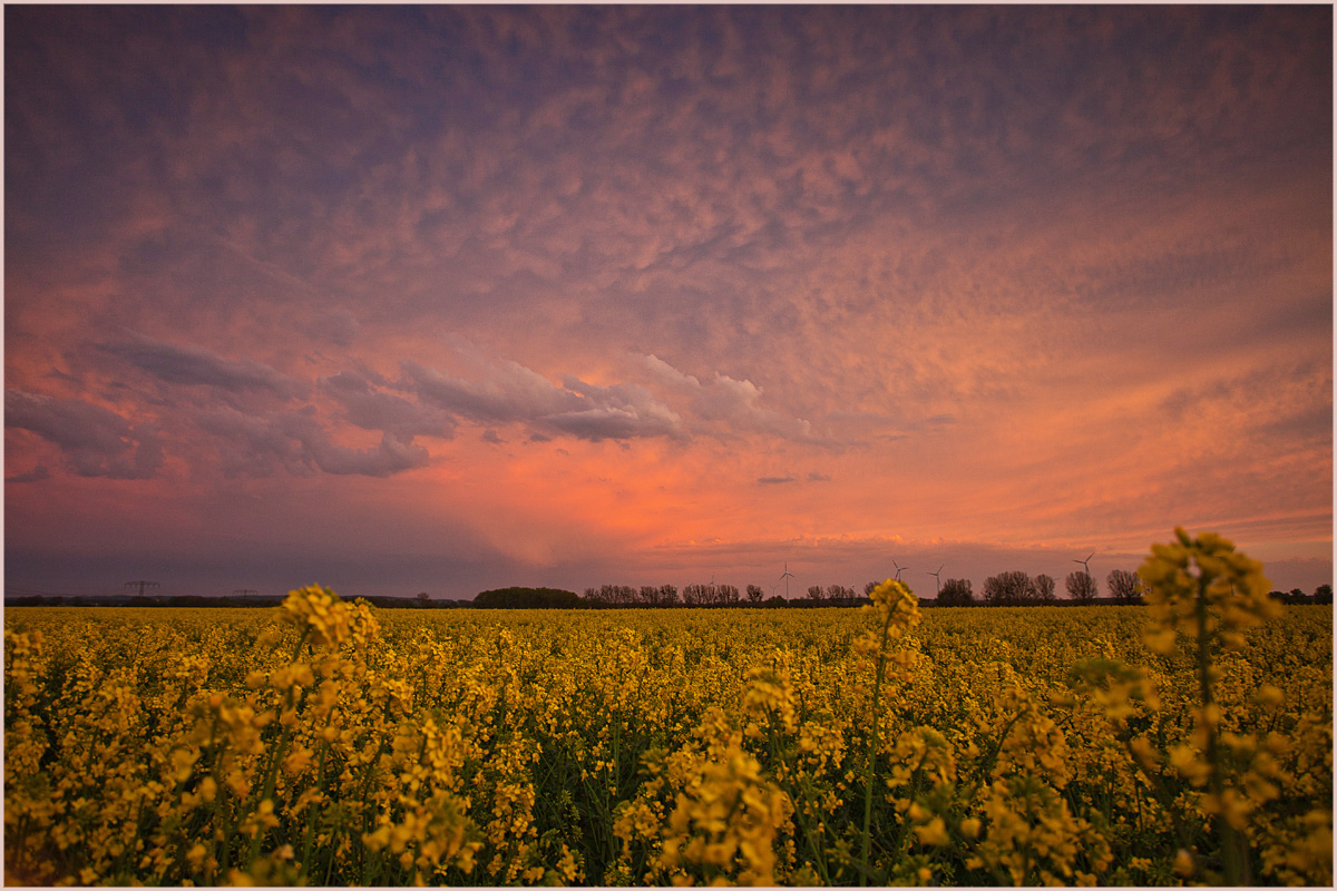 ein Abend im Raps