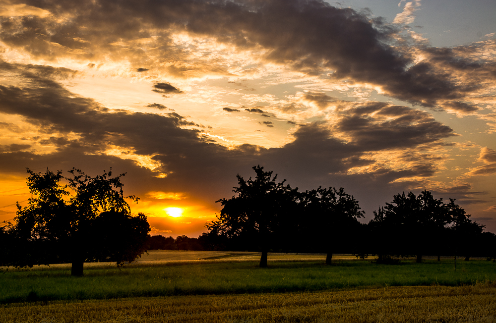 Ein Abend im Sommer