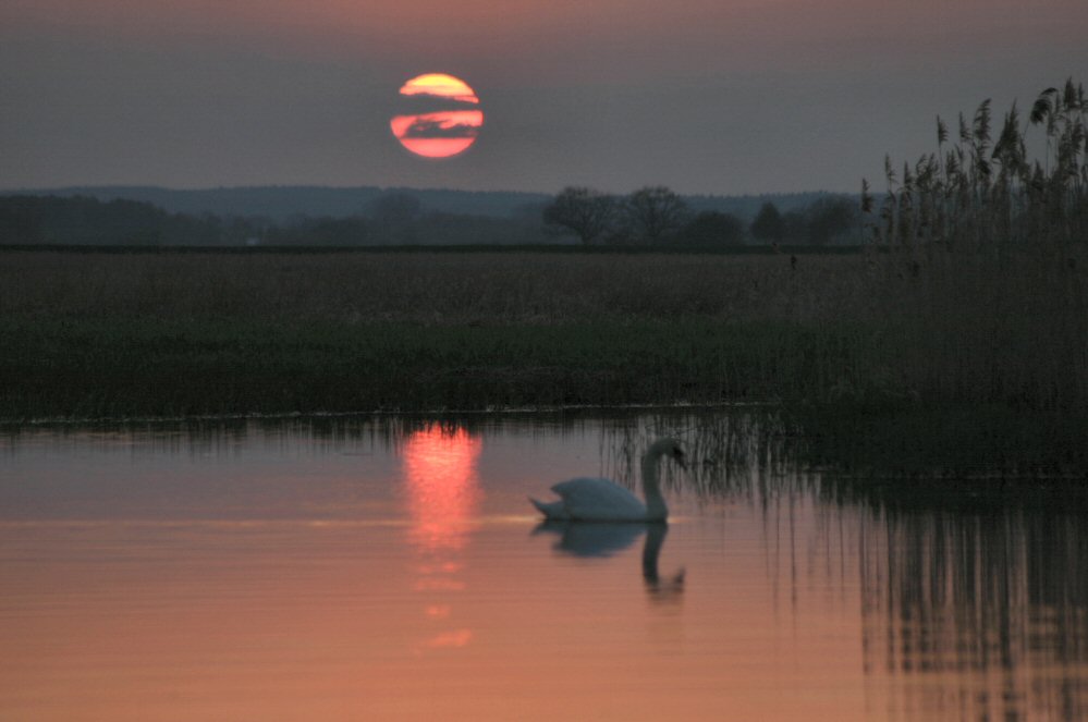 Ein Abend im Wendland