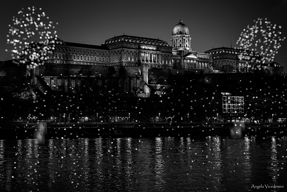 Ein Abend in Budapest - 01.12.2012