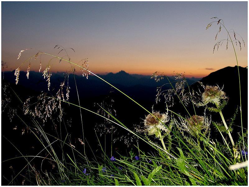 Ein Abend in den Zillertaler Alpen