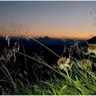 Ein Abend in den Zillertaler Alpen