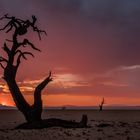 Ein Abend in der Namib