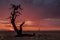 Ein Abend in der Namib