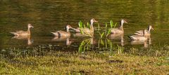 Ein Abend 'Spaziergang'