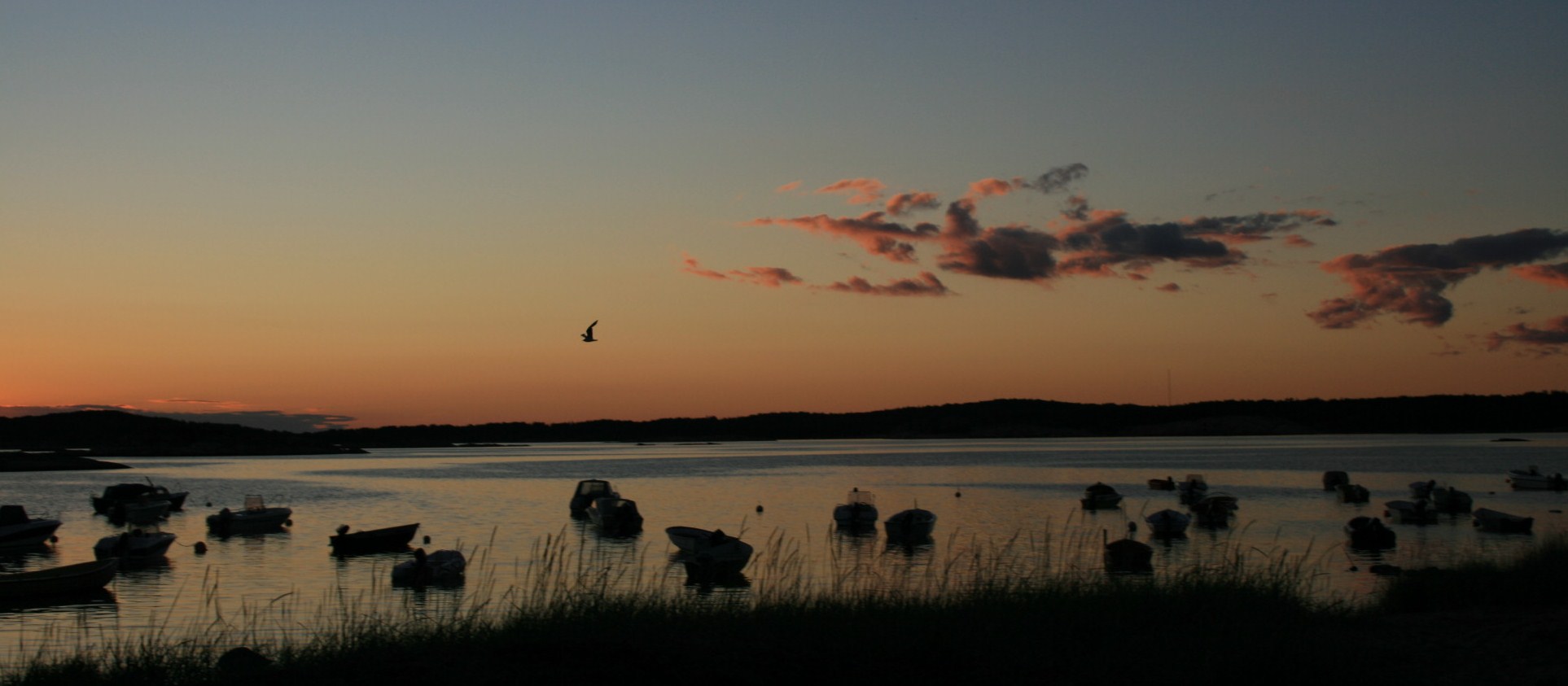 Ein Abend zum Träumen in Schweden