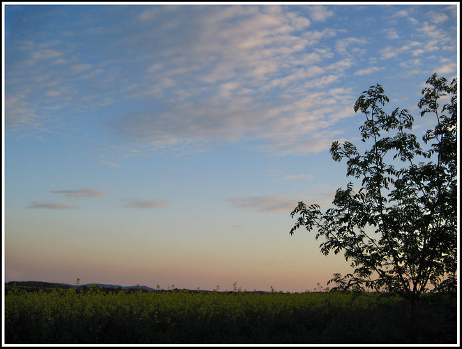 Ein Abendgruß für Euch