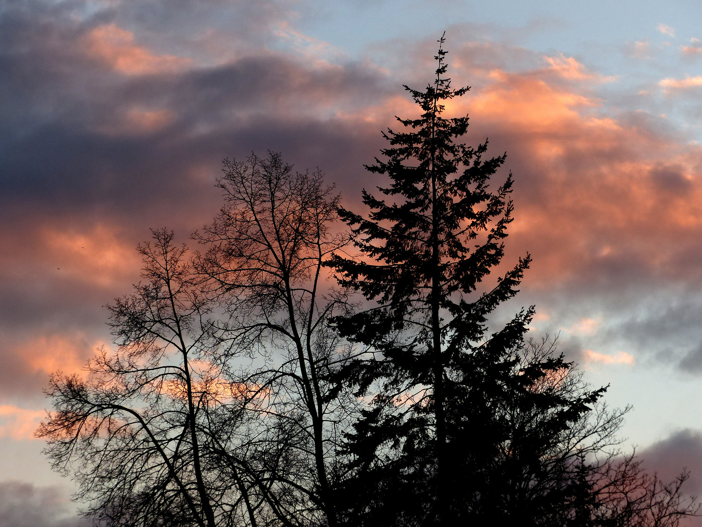 Ein Abendhimmel, wie ihn meine Enkelin sah