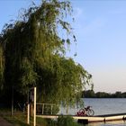 ein abendlicher Ausflug mit dem Fahrrad am See