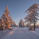 Ein abendlicher Winterspaziergang