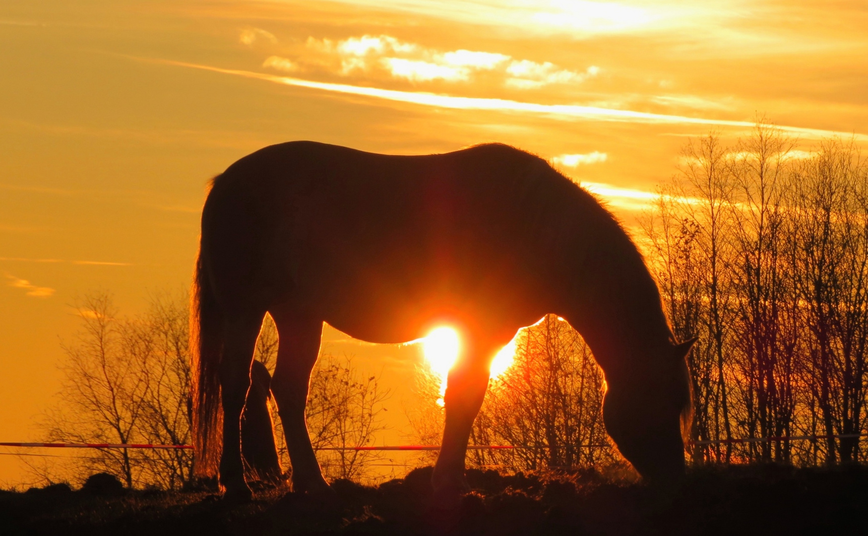 Ein Abendmahl.... 