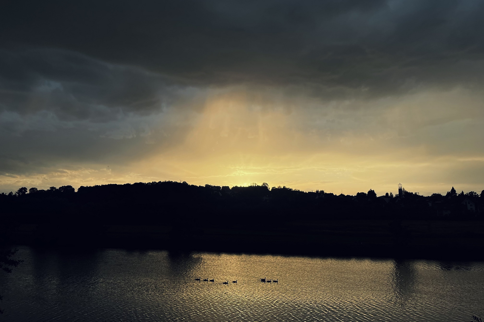 Ein Abendregen nördlich der Ruhr beendet mein Hitzewochenende und Wildgänse streben flussaufwärts.