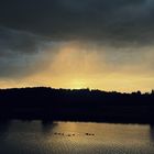 Ein Abendregen nördlich der Ruhr beendet mein Hitzewochenende und Wildgänse streben flussaufwärts.