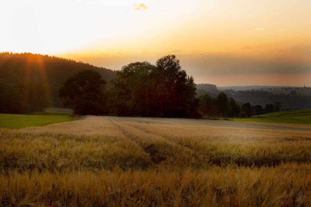 Ein Abendspaziergang