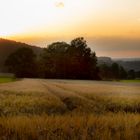 Ein Abendspaziergang