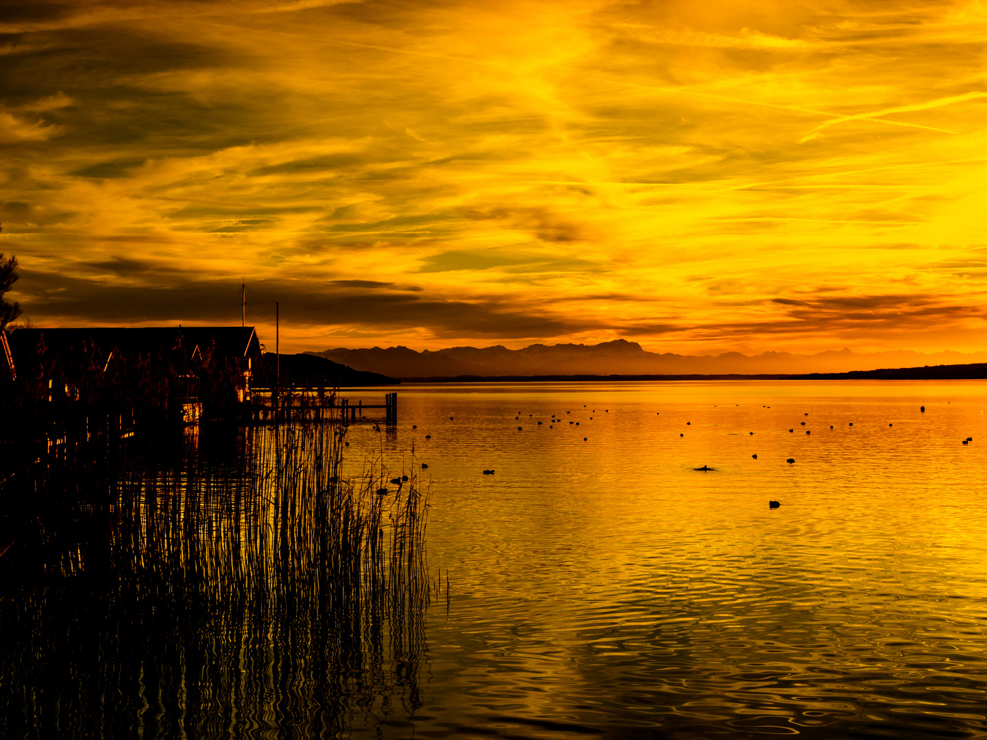 ein Abendspaziergang am Starnberger See.....