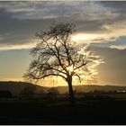 Ein Abendspaziergang mit Zauberlicht ...