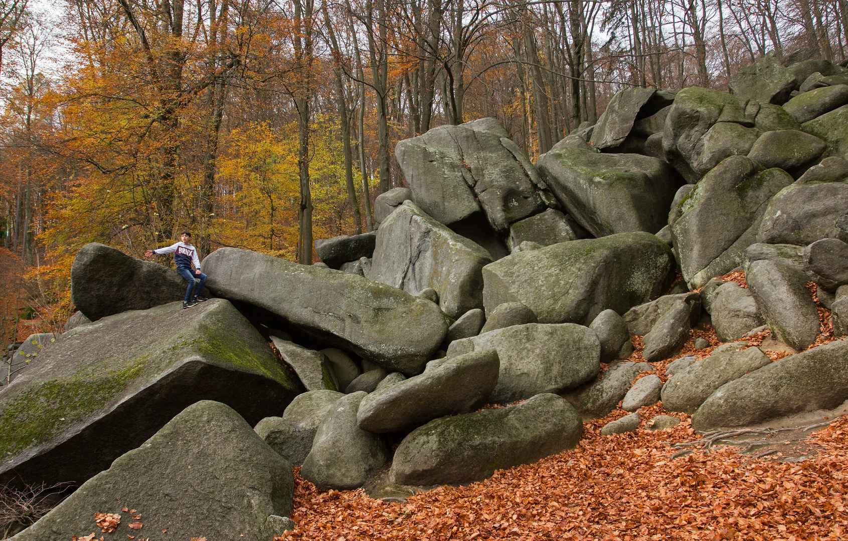 Ein Abenteuerspielplatz.......