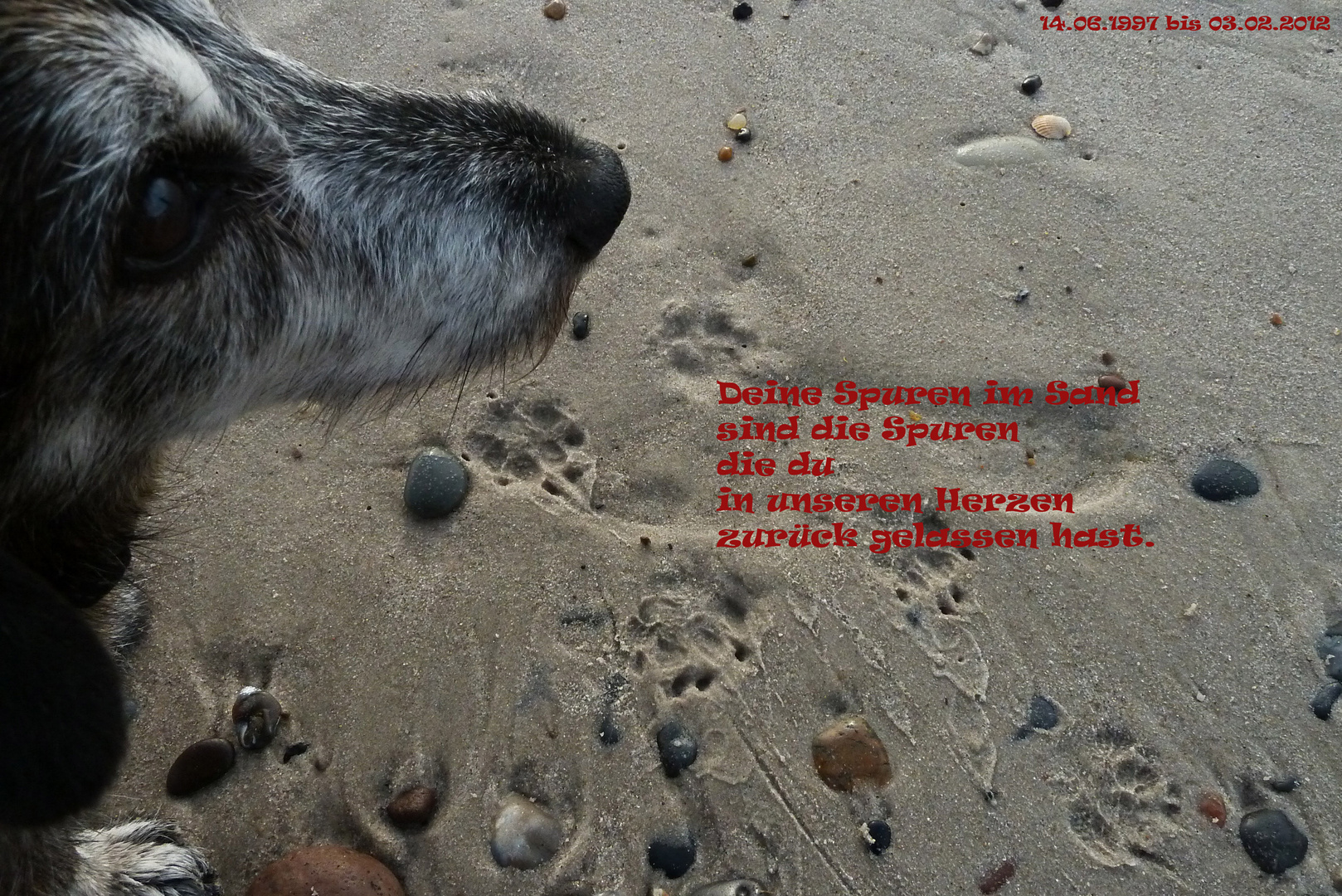 Get Abschied fuer immer trauer For Android