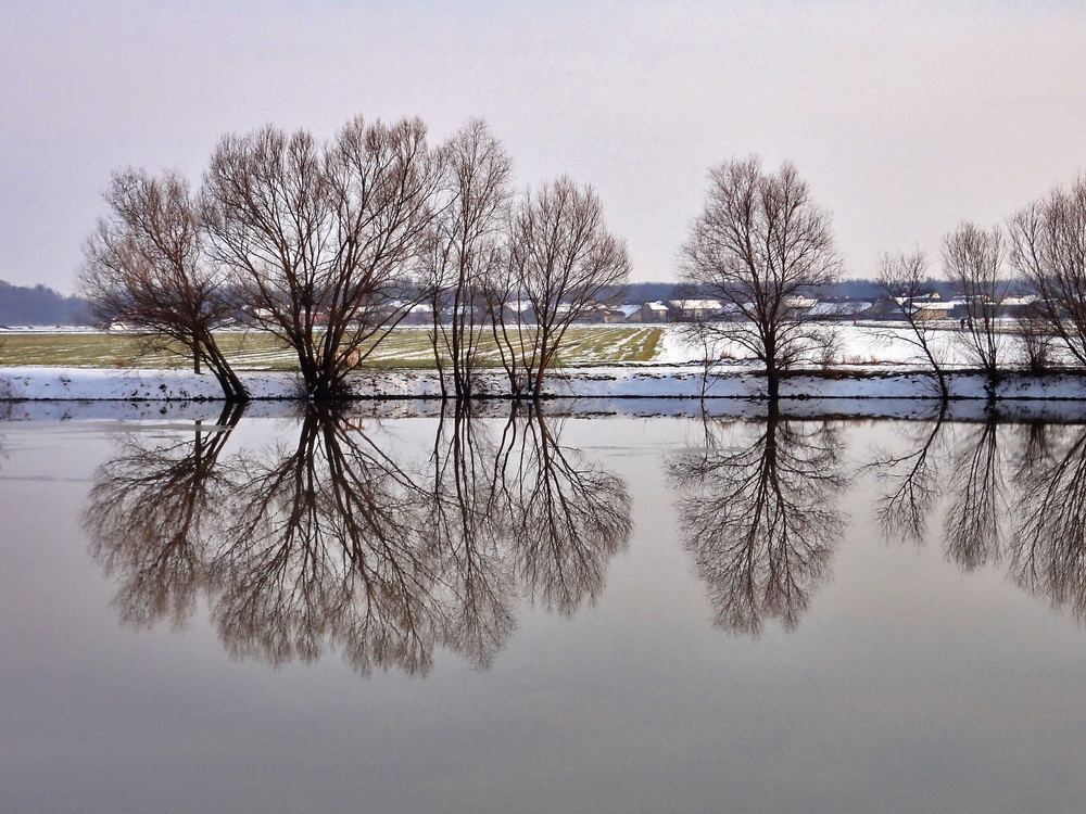 Ein Abschiedsbild vom Winter