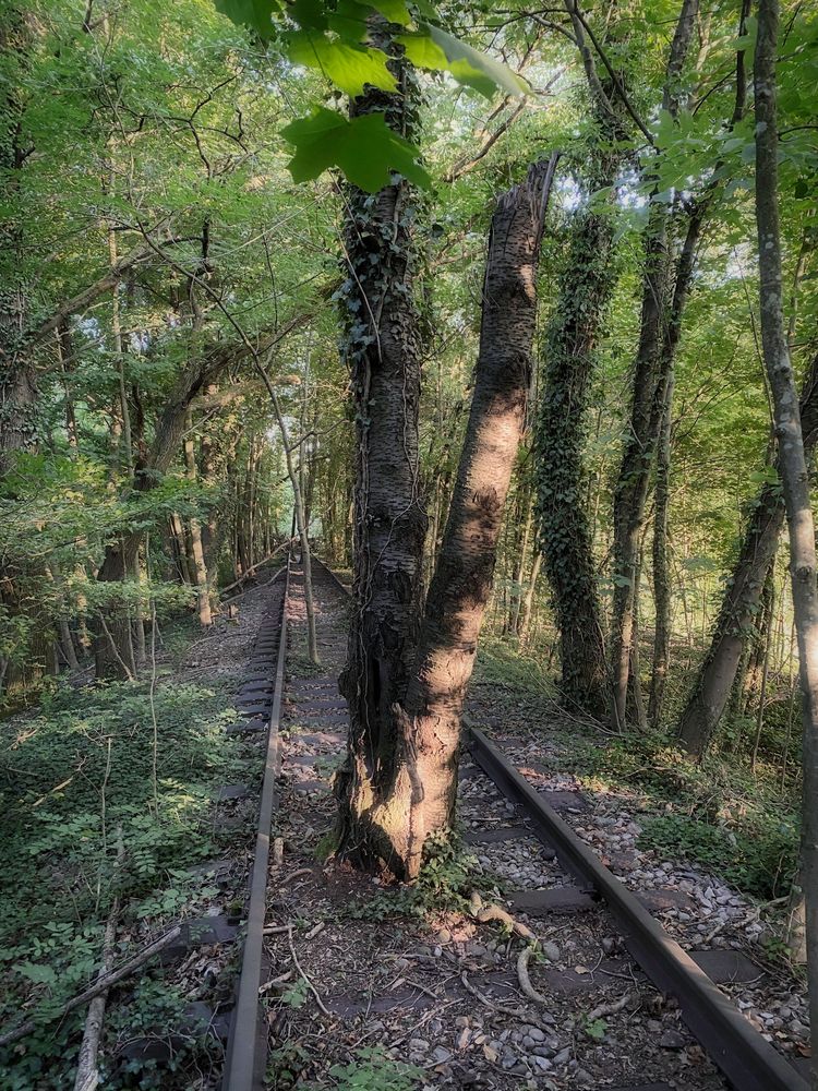 Ein Abstellgleis auf dem Abstellgleis