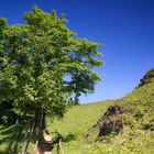 ein abwechslungsreicher Wanderweg