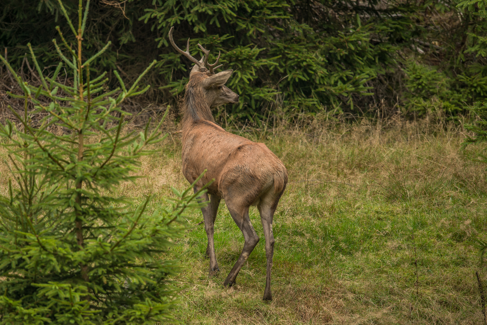 Ein Achter - und das war's