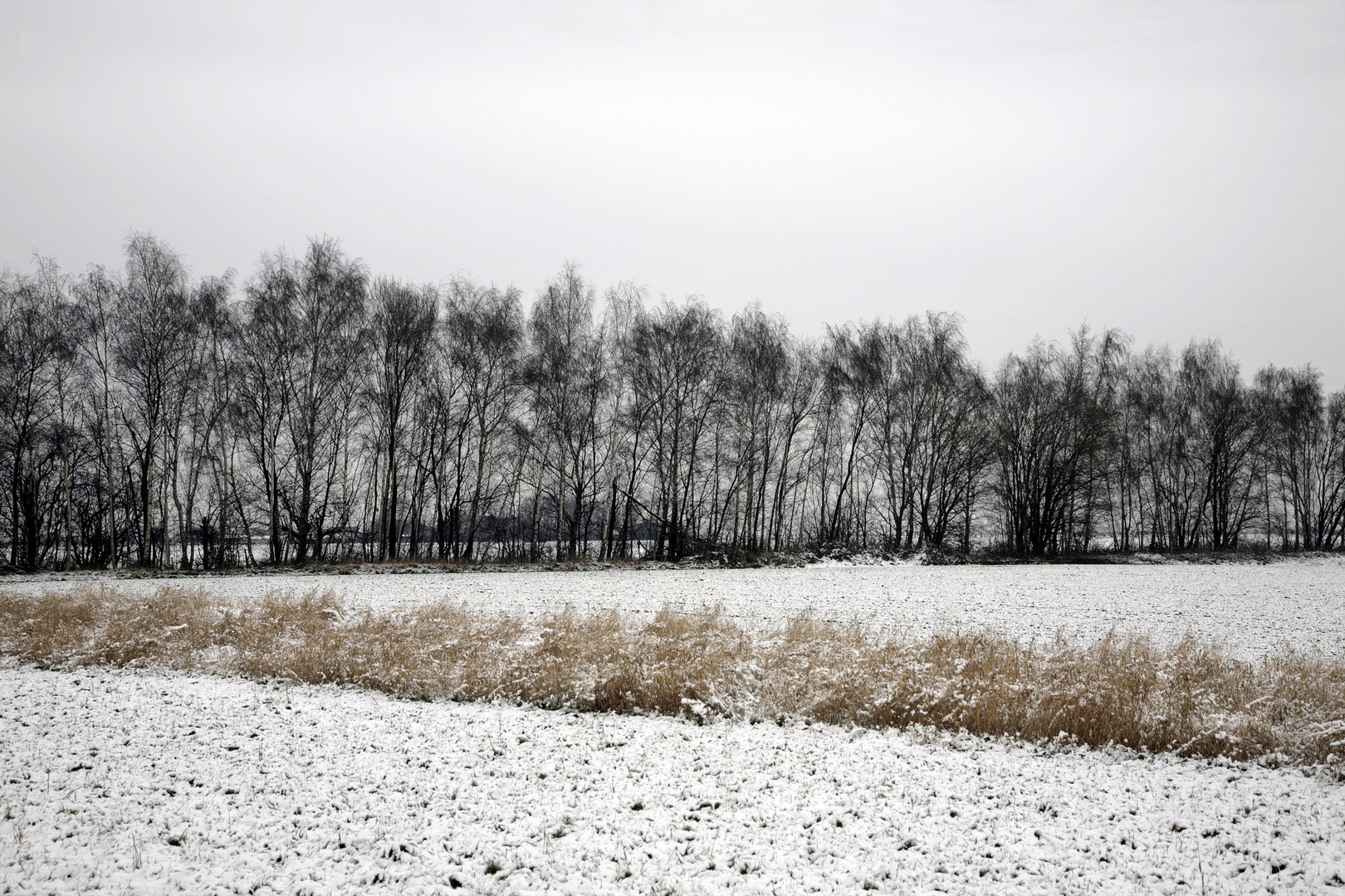 ein Ackerbild im Winter