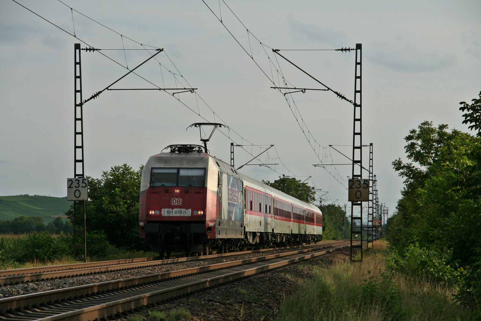 Ein Adler im Anflug