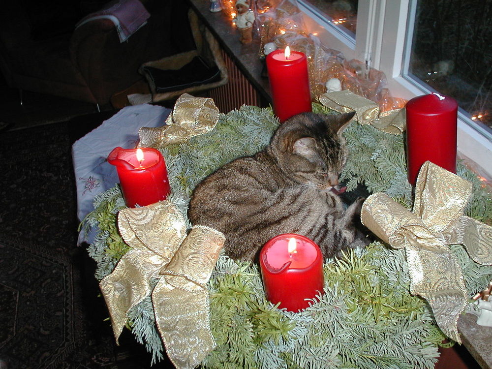 Ein Adventkranz für unsere Kleine....