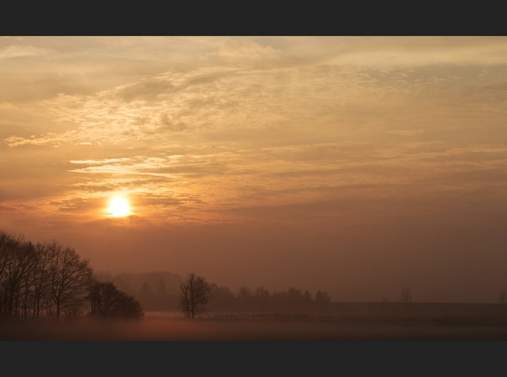 Ein Adventsmorgen in Ostfriesland