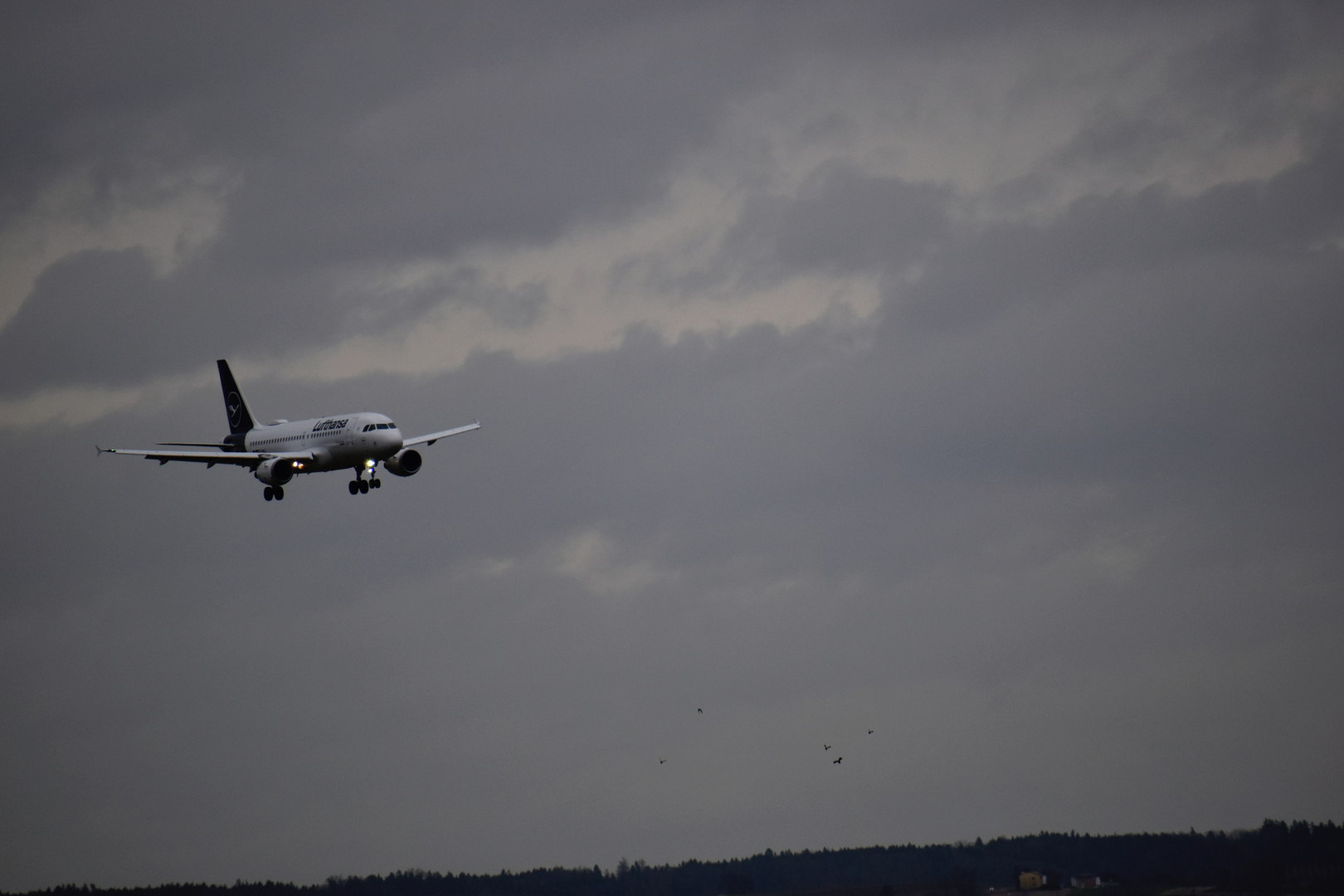 Ein Airbus A319 im Landeanflug