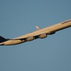 Ein Airbus A340-600 der Lufthansa kurz nach dem Start