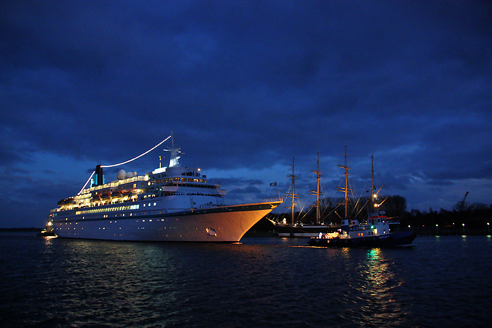 Ein Albatros in Travemünde