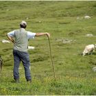 Ein Alpen - Cowboy und sein Hilfs-Sheriff !