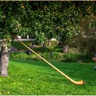 Ein Alphorn unterm Apfelbaum