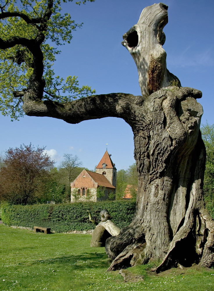 Ein alter Baum umrahmt die Kirche