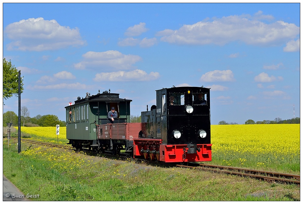 Ein alter Diesel am blühenden Rapsfeld bei Mesendorf