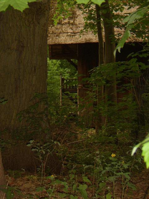 ein alter Schober in Oberohe