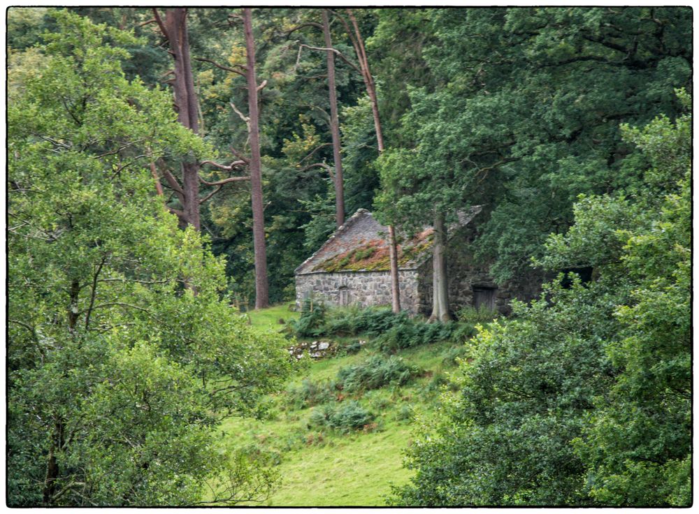 Ein alter Stall im Wald