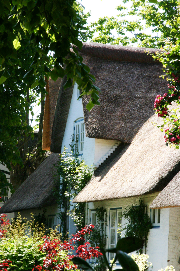 Ein altes Fischerhaus