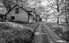 Ein altes Haus mitten im Wald